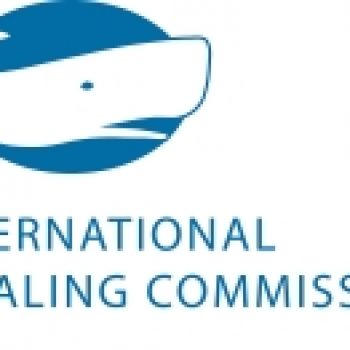 Logo of International Whaling Commission (IWC)