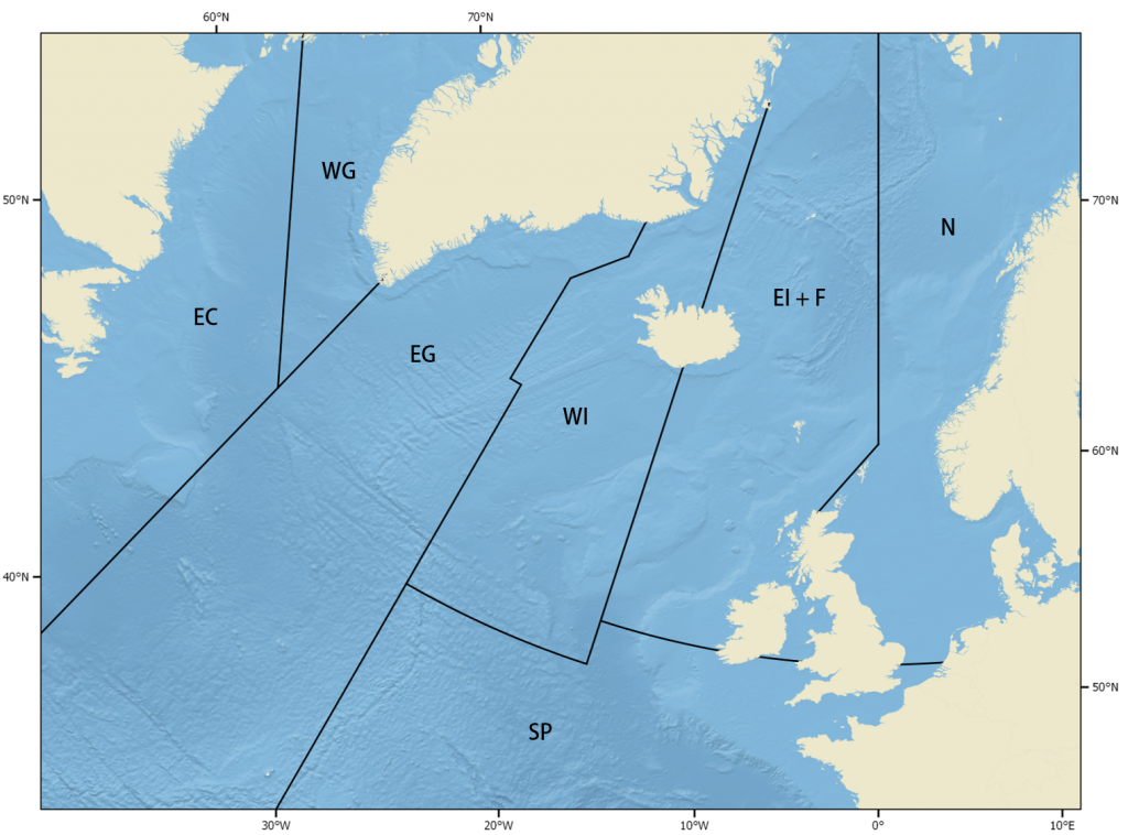 Fin whale management areas