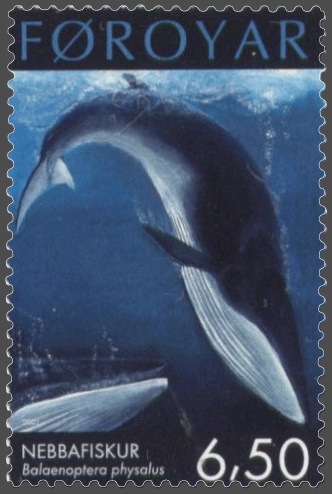 Fin whale Faroese stamps