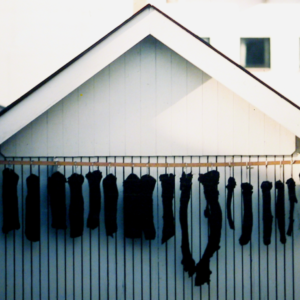 Pilot whale meat air-drying. © Faroese Museum of Natural History