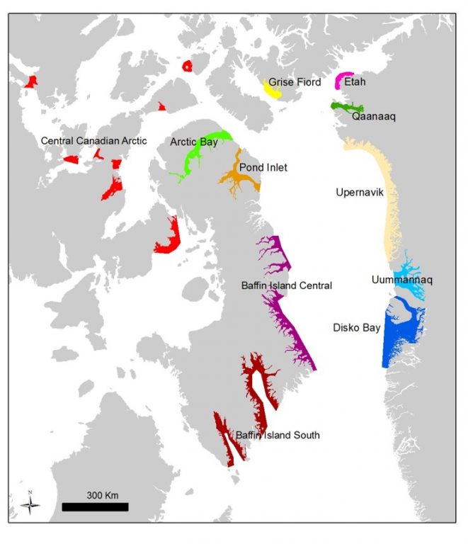 A Map Of Where Narwhals Live