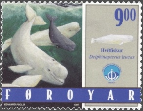 Faroese stamp with beluga whales
