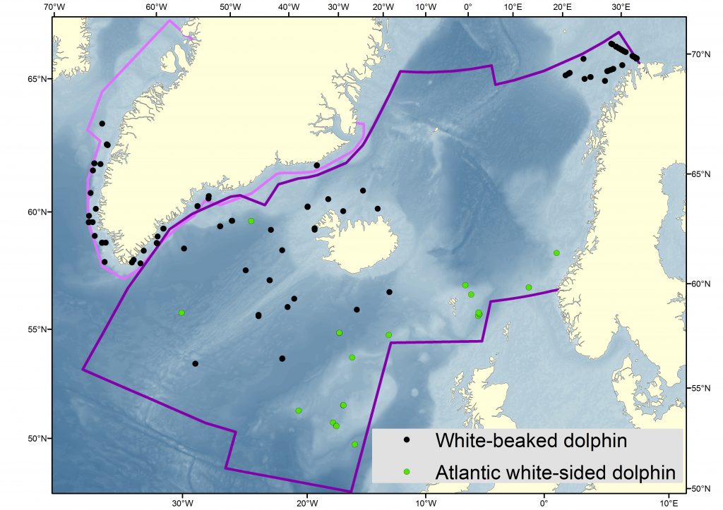 Map of sightings of two dolphin species in 2015 in the North East Atlantic