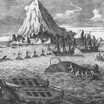 18th century Arctic whaling © Wikimedia
