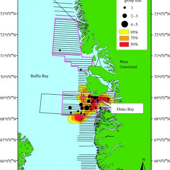 Fig. 1 from Heide-Jørgensen et al 2007. Survey effort, delineation of six strata (strata 1 and 2 labelled), sightings of bowhead whales and home range of nine bowhead whales shown as the 95, 75 and 50% kernel home ranges of 24 692, 13 657 and 5335 km2, respectively.