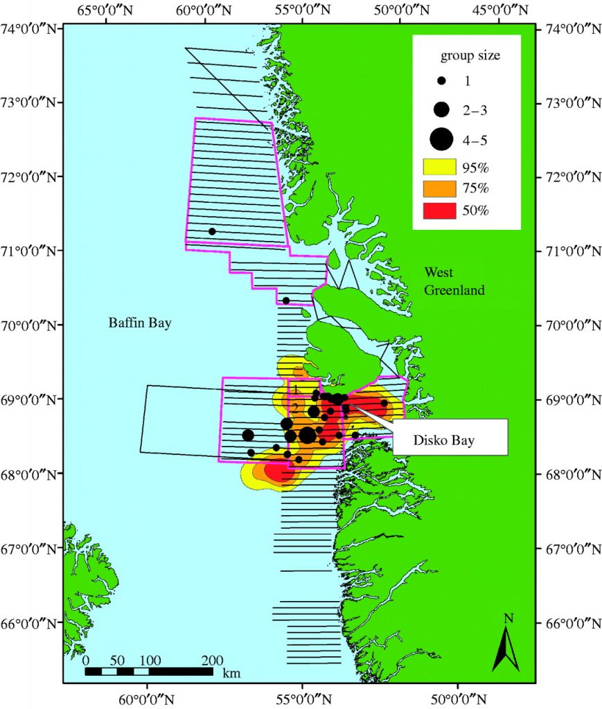 Fig. 1 from Heide-Jørgensen et al 2007. Survey effort, delineation of six strata (strata 1 and 2 labelled), sightings of bowhead whales and home range of nine bowhead whales shown as the 95, 75 and 50% kernel home ranges of 24 692, 13 657 and 5335 km2, respectively.
