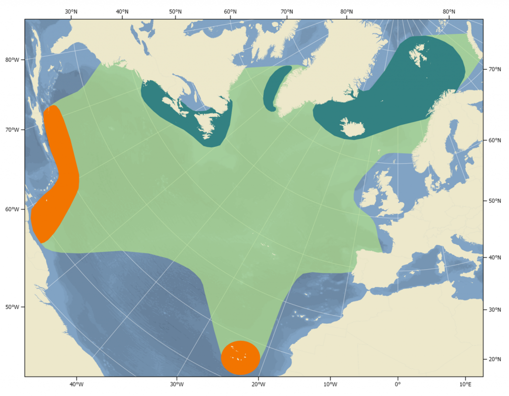 Map of the distribution of humpback whales in the North Atlantic