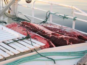 Whale meat that will be sold as food