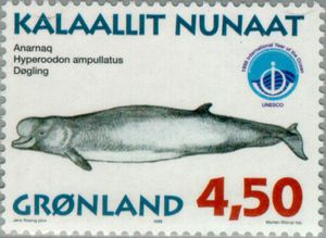 Greenlandic stamp with a Northern Bottlenose Whale