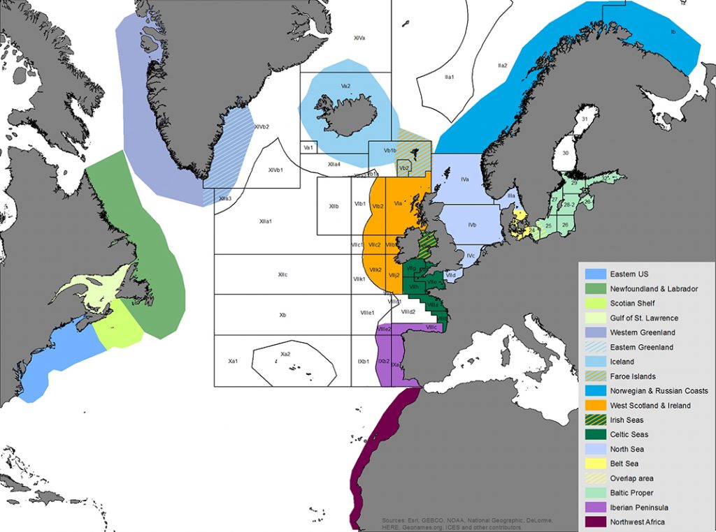 Map of assessment areas for harbour porpoises