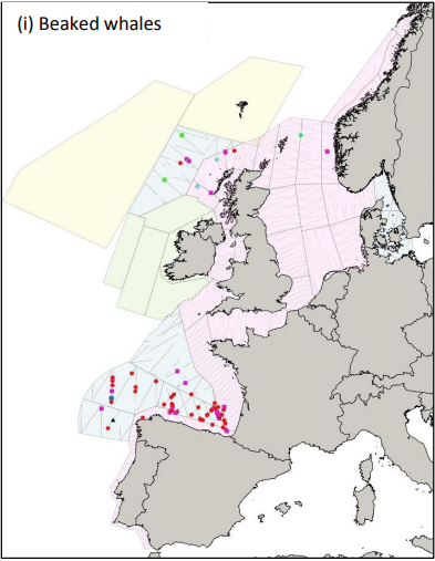 Map of sightings in Western and Northern Europe in 2016