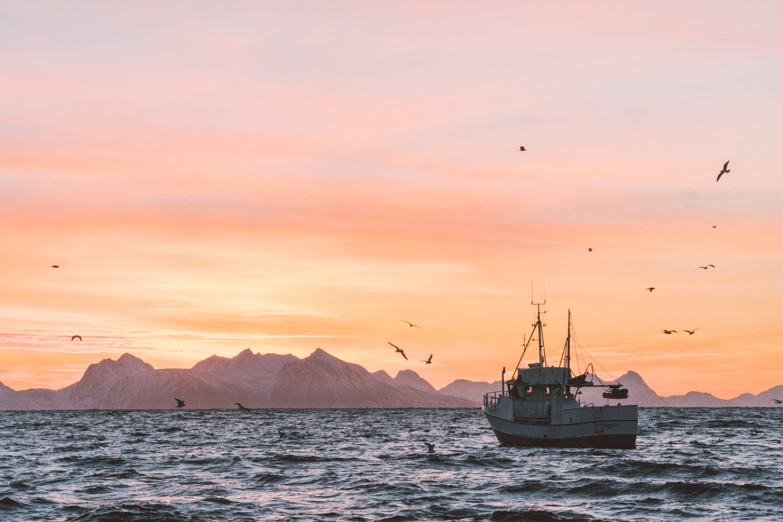 Boat fishing Norway