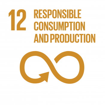 UN Sustainable Development Goal 12