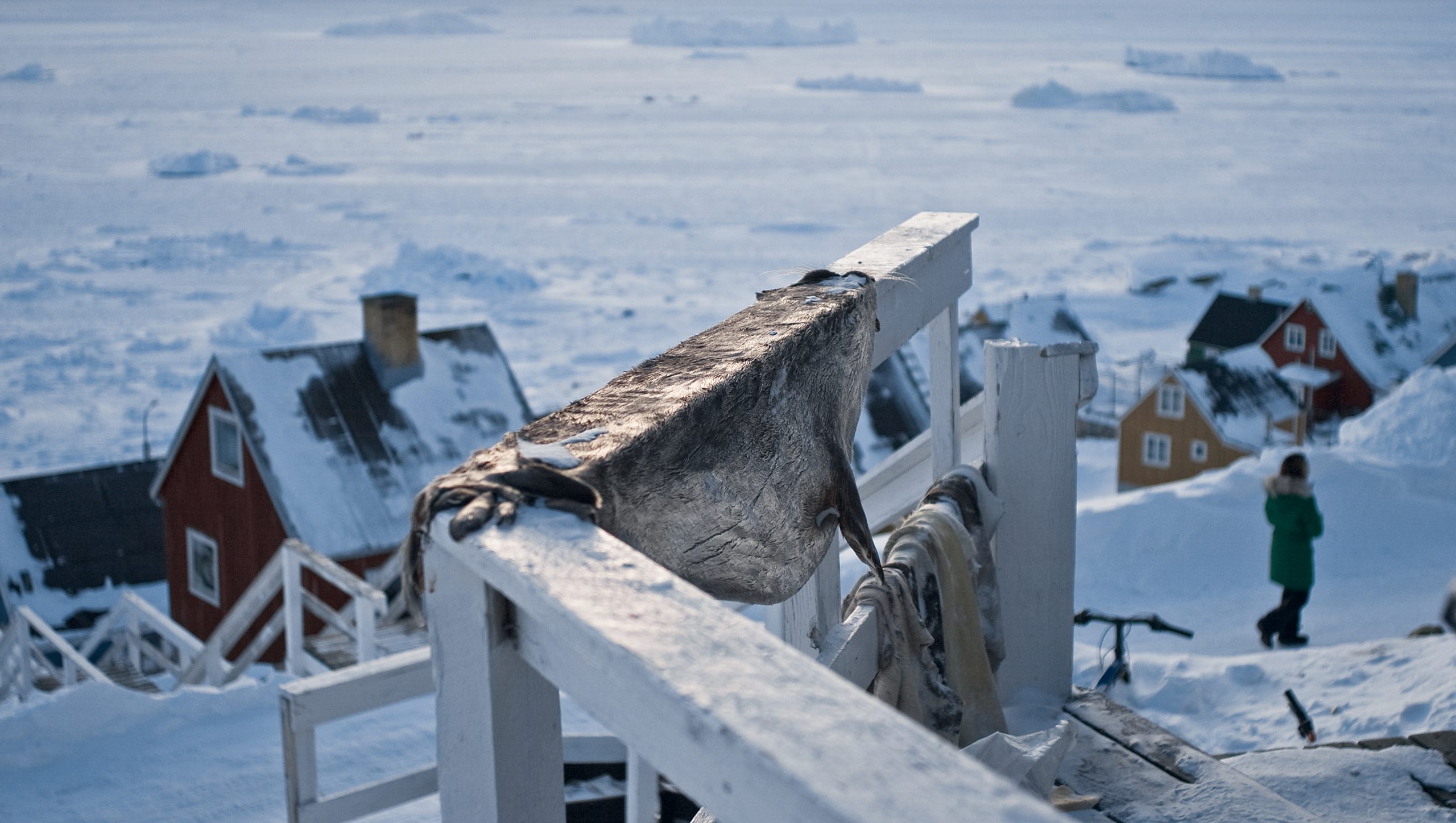 Seal skin drying in Greenlandic village
