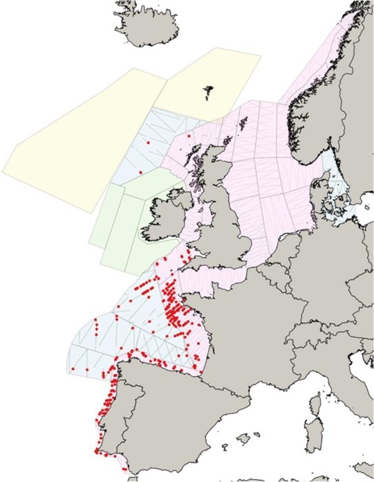 The image shows a map of Europe with red dots symbolising observations of common dolphins. Most dots are along the Spanish and French Atlantic coast with a few observations on the east Coast of the UK.