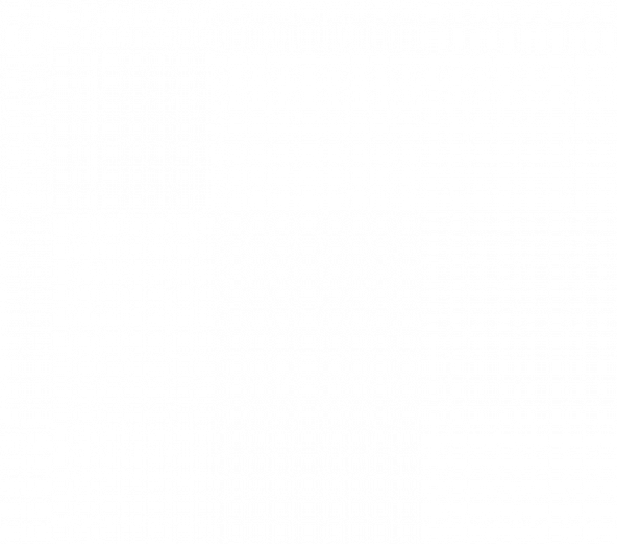 logo_30years_inversed