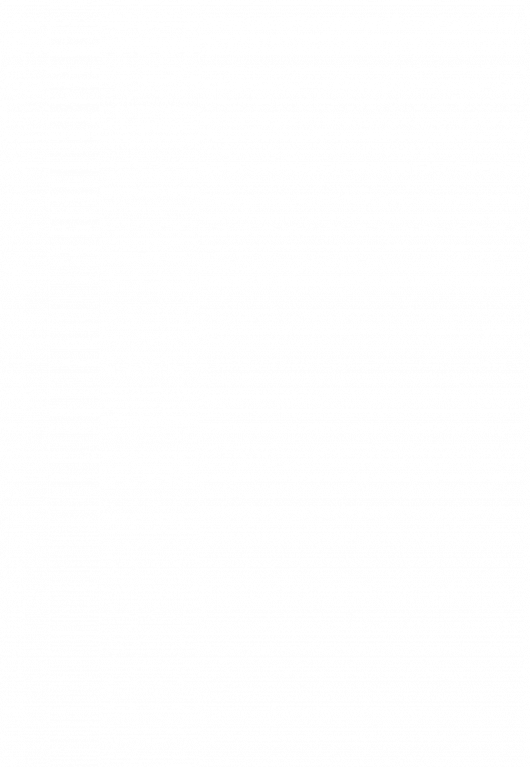 NSP4 cover