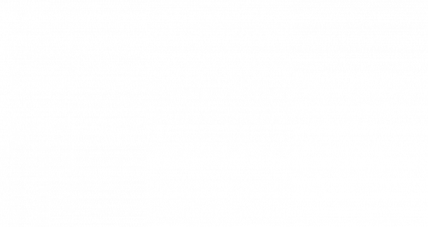 dolphin-track