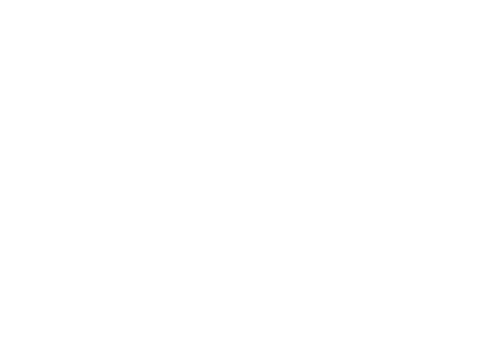 harbor-porpoise