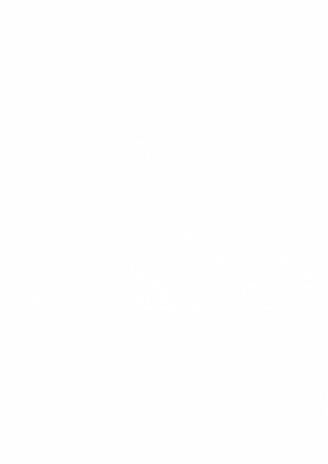 05-NAMMCO-25_Audited-account-2016.